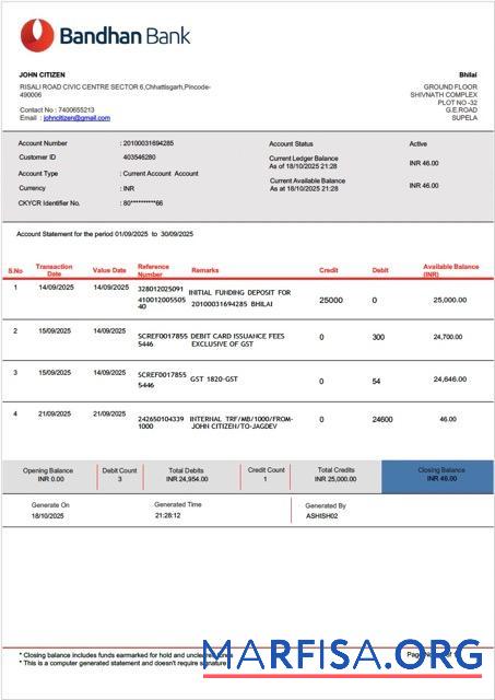 Blank India Bandhan bank account statement word real example